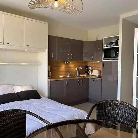 Au Lavandou, Climatise, Avec Terrasse Vue Et Wi-fi - Fr-1-251-879 Апартаменты Ле-Лаванду