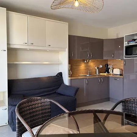 Au Lavandou, Climatise, Avec Terrasse Vue Et Wi-fi - Fr-1-251-879 Apartment *