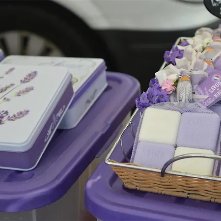 公寓 Au Lavandou, Climatise, Avec Terrasse Vue Et Wi-fi - Fr-1-251-879