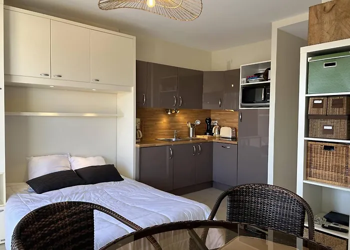 Au Lavandou, Climatise, Avec Terrasse Vue Et Wi-fi - Fr-1-251-879 Apartman Le Lavandou