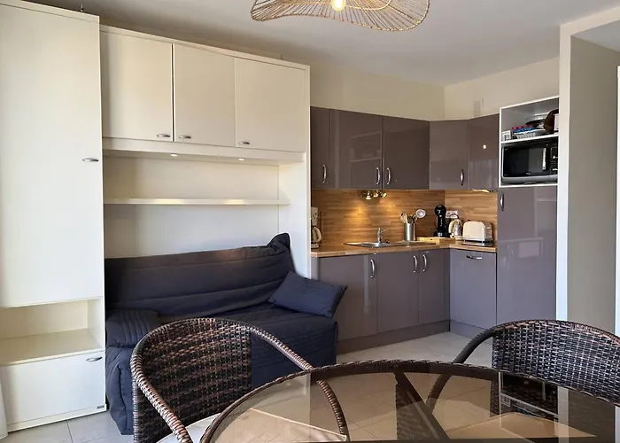 Au Lavandou, Climatise, Avec Terrasse Vue Et Wi-fi - Fr-1-251-879 Apartman *