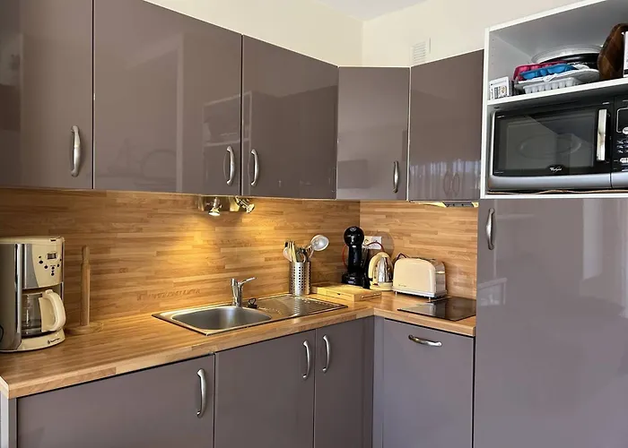 Apartman Au Lavandou, Climatise, Avec Terrasse Vue Et Wi-fi - Fr-1-251-879 *