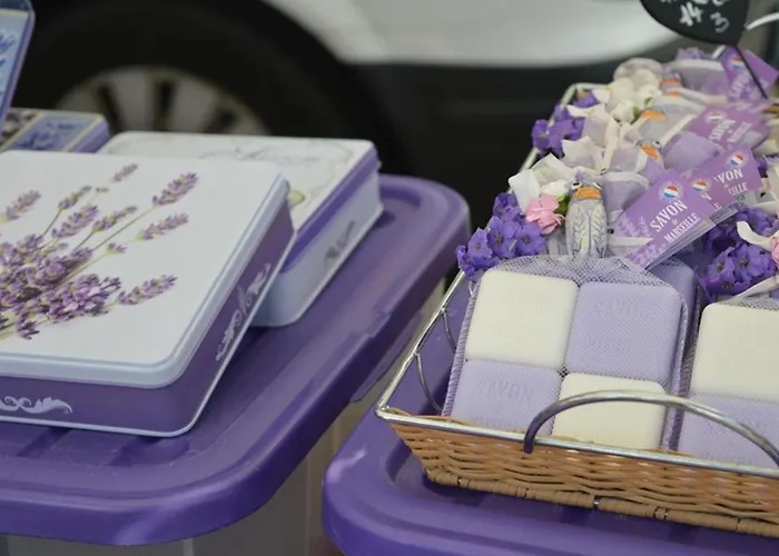 Apartman Au Lavandou, Climatise, Avec Terrasse Vue Et Wi-fi - Fr-1-251-879