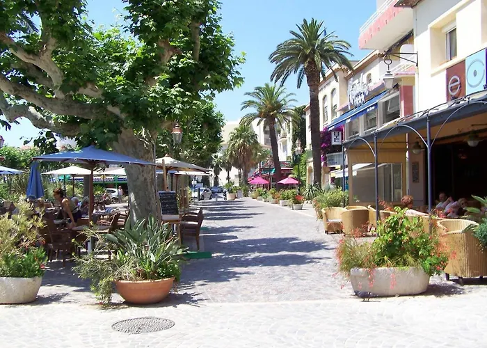 Au Lavandou, Climatise, Avec Terrasse Vue Et Wi-fi - Fr-1-251-879 Apartman